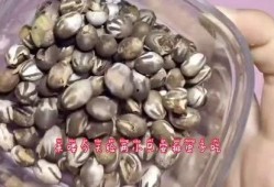 白瓜被虫吃怎么办视频大全,视频大全解析