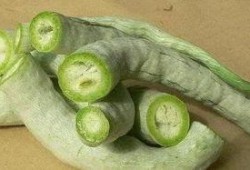 蛇瓜可要去皮吃吗视频教程