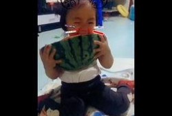 电影功夫吃瓜视频,一场别开生面的美食与武术盛宴