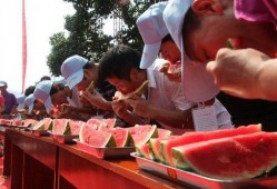 分宜吃瓜大赛视频,一场欢乐盛夏的味蕾狂欢