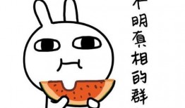 犯贱套路聊天吃瓜视频,吃瓜视频中的趣味与反思