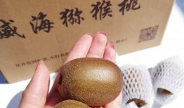 哈密瓜怎样吃才更甜视频,解锁美味甜食的烹饪技巧