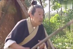 田地里的田瓜可以吃吗视频