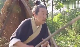 田地里的田瓜可以吃吗视频