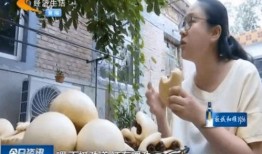 生瓜蛋子吃货博主视频,生瓜蛋子吃货博主带你探索美食世界