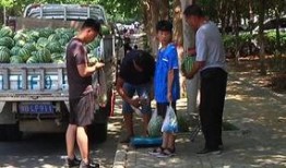 鹤壁吃瓜群众事件视频,网络围观下的社会现象解析