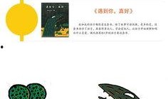 爱看吃瓜的猫绘本故事视频,一场欢乐的绘本故事之旅