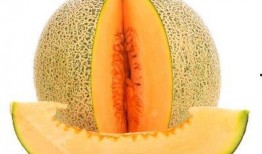 断液可以吃哈密瓜吗视频,揭秘哈密瓜的神奇魔力
