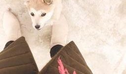 猫咪吃白瓜好吗视频播放