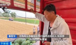 项城市吃瓜视频,揭秘当地美食文化盛宴