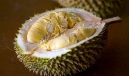 吃蜜瓜榴莲视频,一场味蕾的奇幻之旅