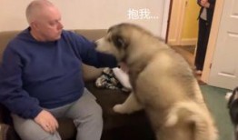 狗妞赵爷爷吃瓜视频,趣味横生的家庭欢乐时光