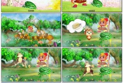 猴吃瓜背景视频高清,趣味横生的自然奇观