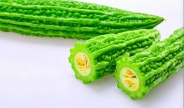 小孩子吃凉瓜视频