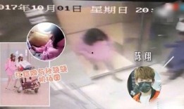 吃瓜爆料视频素材网,视频素材网的秘密世界