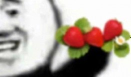 吃瓜看沙雕视频表情包,吃瓜看沙雕视频表情包，解锁欢乐新姿势