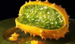 男孩吃角瓜的视频大全图片,趣味视频大盘点