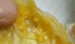 白瓜被虫吃怎么办视频大全,视频大全解析