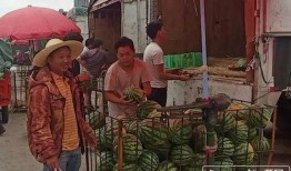 群众吃瓜哭的视频,群众吃瓜哭成泪人，背后故事引人深思