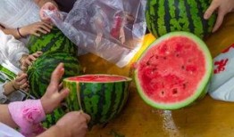 湛江吃瓜视频,揭秘当地美食文化盛宴