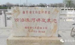 曲阜五泉庄吃瓜事件视频,一场引发热议的网络视频风波