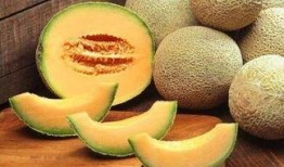 宝宝吃哈密瓜泥视频播放,甜蜜滋味开启快乐时光