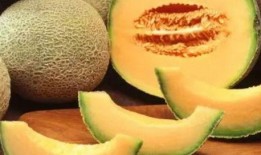河北人吃哈密瓜好吗视频
