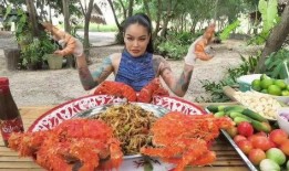 美食主播吃小瓜视频,趣味横生美食体验大揭秘