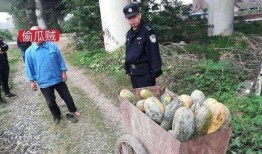 寿光网红吃瓜事件视频曝光