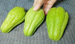 王大山吃佛手瓜视频在线观看