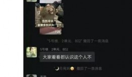 翰林府吃瓜视频在线,揭秘宫廷秘闻，带你领略皇家盛宴