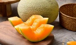 鸟会吃哈密瓜吗视频教学,揭秘鸟类与哈密瓜的奇妙互动