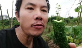 小六吃瓜视频回放下载,揭秘热门话题背后的真相