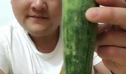 微信头像吃瓜搞笑视频,搞笑视频笑翻朋友圈