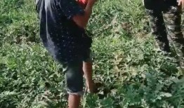 工地大叔吃瓜视频大全,揭秘工地生活趣味瞬间