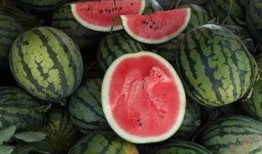 两块吃瓜视频,揭秘两块吃瓜视频背后的精彩故事