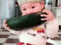 小朋友吃小瓜视频大全,小朋友欢乐吃小瓜视频集锦