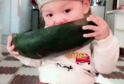 小朋友吃小瓜视频大全,小朋友欢乐吃小瓜视频集锦