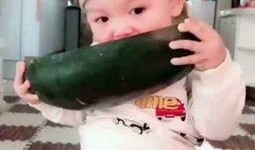 小朋友吃小瓜视频大全,小朋友欢乐吃小瓜视频集锦