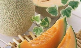 戈壁滩吃哈密瓜视频,见证哈密瓜的神奇之旅