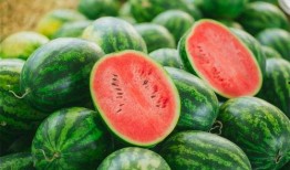 凉凉吃瓜视频大全,凉凉吃瓜视频大全，揭秘娱乐圈幕后故事