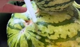 很搞笑吃瓜视频,笑料百出！吃瓜群众疯狂围观搞笑视频盛宴