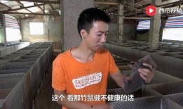 吴一帆吃瓜视频大全,揭秘娱乐圈幕后故事