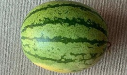 外国人吃金丝角瓜视频,趣味横生体验本土美食