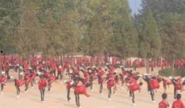 塔沟武校吃瓜事件视频,揭秘校园内幕引发社会关注