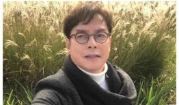 明星吃瓜辟谣视频大全集,真相与谣言的较量