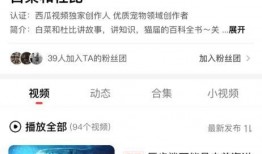 吃瓜视频提取码在哪找啊,轻松获取观看秘籍