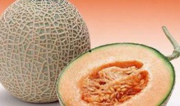 正畸人吃哈密瓜好吗视频,美味与健康的完美结合