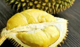 吃蜜瓜榴莲视频,一场味蕾的奇幻之旅