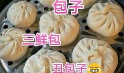 吃瓜包子视频大全播放免费,笑料横生欢乐无限